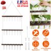 3-Tier Wall Hanging Planter Glass Hydroponic Vase Plant Flower Propagation Tube Planter Terrarium with Wooden Stand