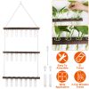 3-Tier Wall Hanging Planter Glass Hydroponic Vase Plant Flower Propagation Tube Planter Terrarium with Wooden Stand