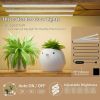 Indoor Plant Stand with Black Metal Frame and Wood Finish Shelves