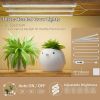 Indoor Plant Stand with White Metal Frame and Wood Finish Shelves
