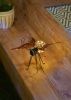 Solar Butterfly Glow Bug Figurine - Best Outdoor Garden Decor for Nighttime Glow