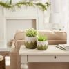 GREEK LEAF CEMENT FLOWER POT SET/2